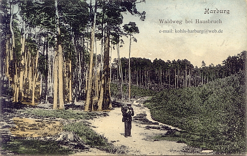 Harburg - Waldweg bei Hausbruch